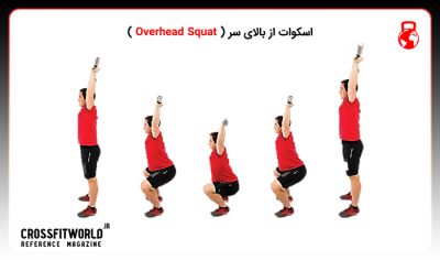 اسکوات