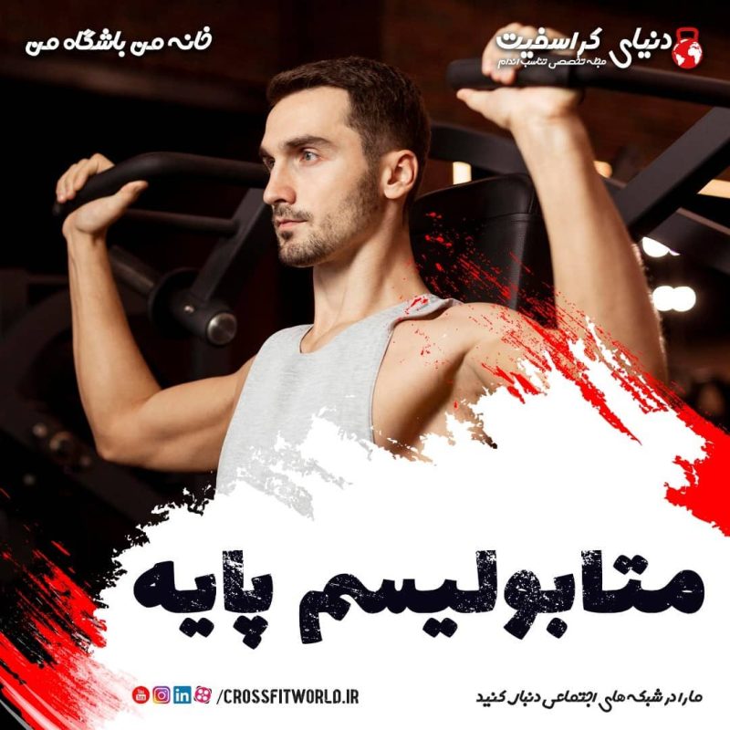 متابولیسم به زبان ساده 2 متابولیسم